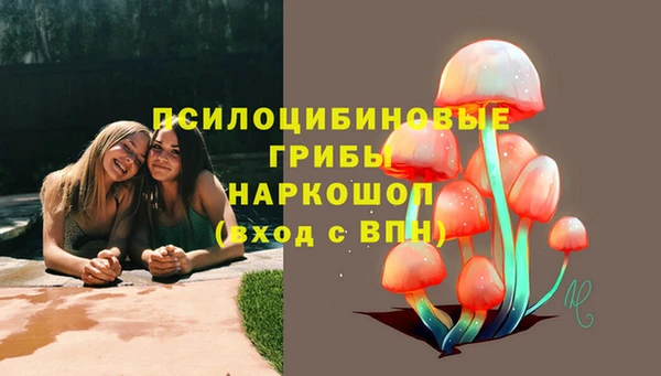 стаф Абаза