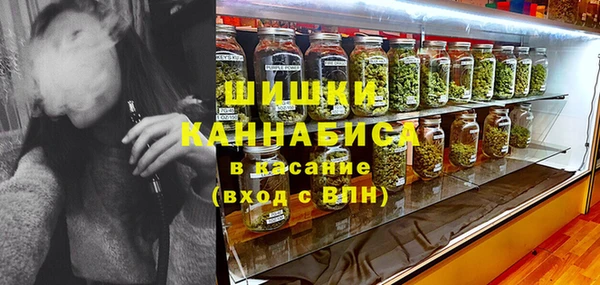 стаф Абаза