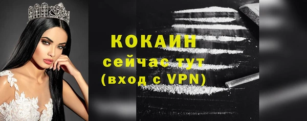 стаф Абаза