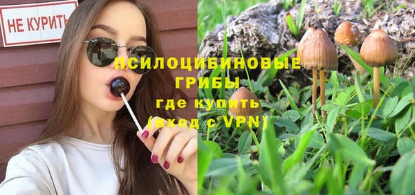 стаф Абаза