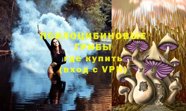 стаф Абаза