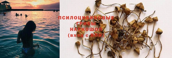 ГАЛЛЮЦИНОГЕННЫЕ ГРИБЫ Абинск